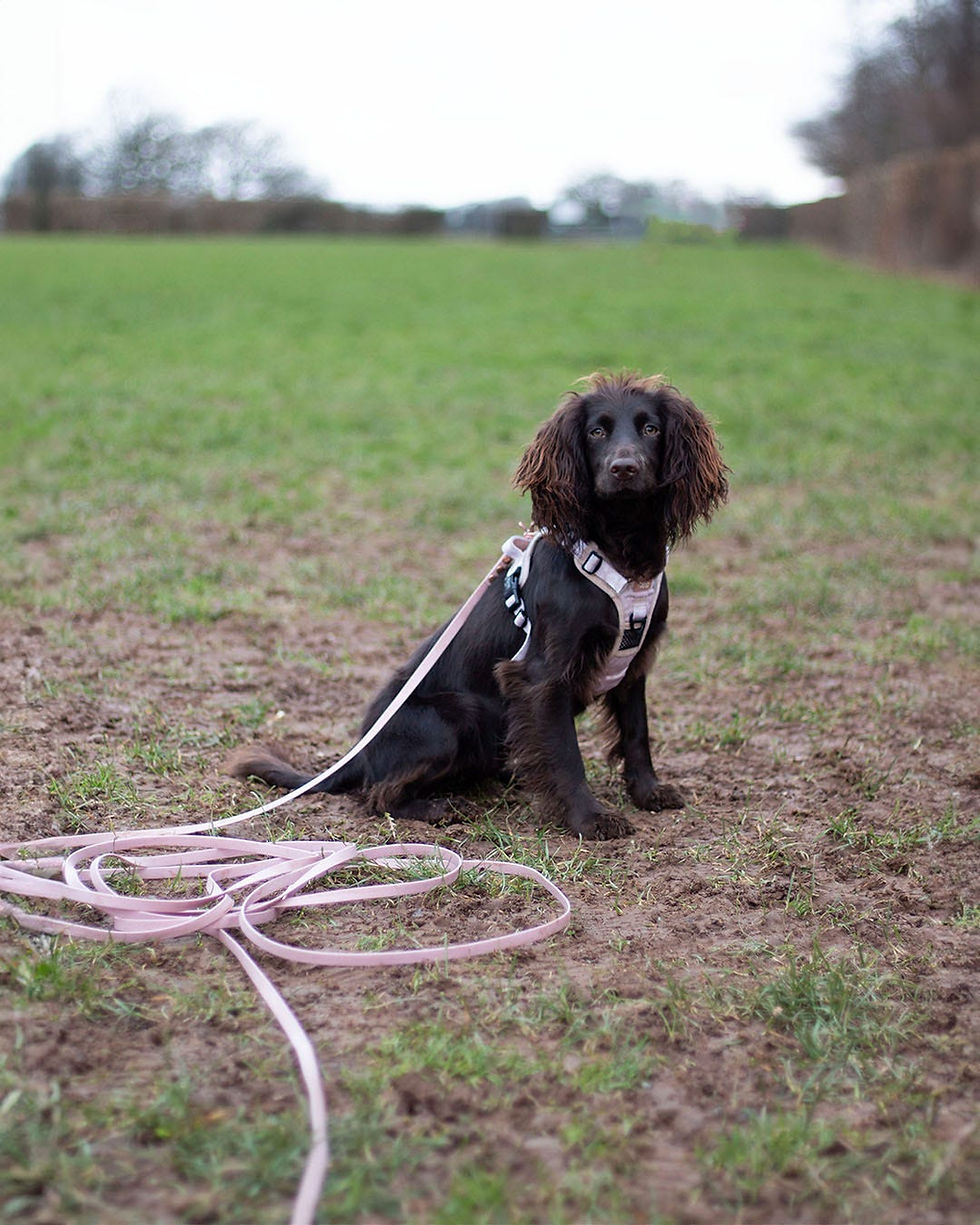 Thumbnail: Waterproof Long Line Lead (13mm Width)