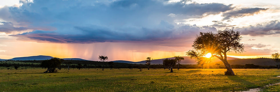 Blood at Shimba Hills