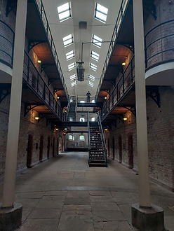 Image of panoptic view from entrance hall (photo credit_ Conach Gibson-Feinblum, 2024).hei