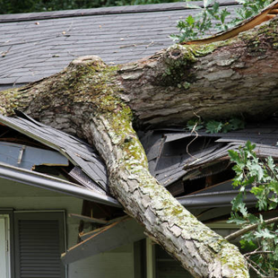 Identifying Storm Damage to Your Roof in Neosho