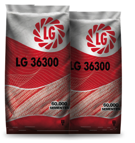 LG 36300.png