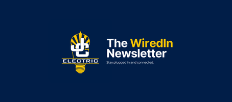 The WiredIn Newsletter – February 2026