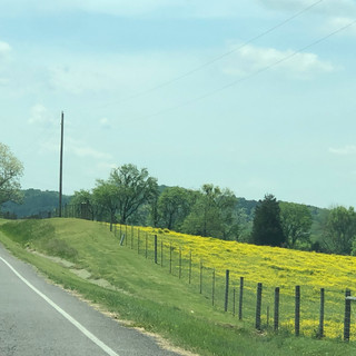 Country Road Nashville, TN.