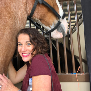 Horses are therapy.