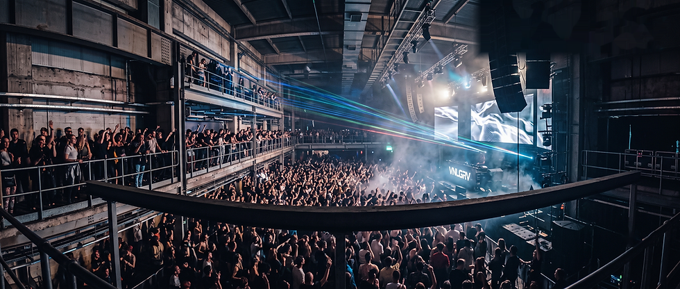 VNLGRV Crowd Photo (no logo).png
