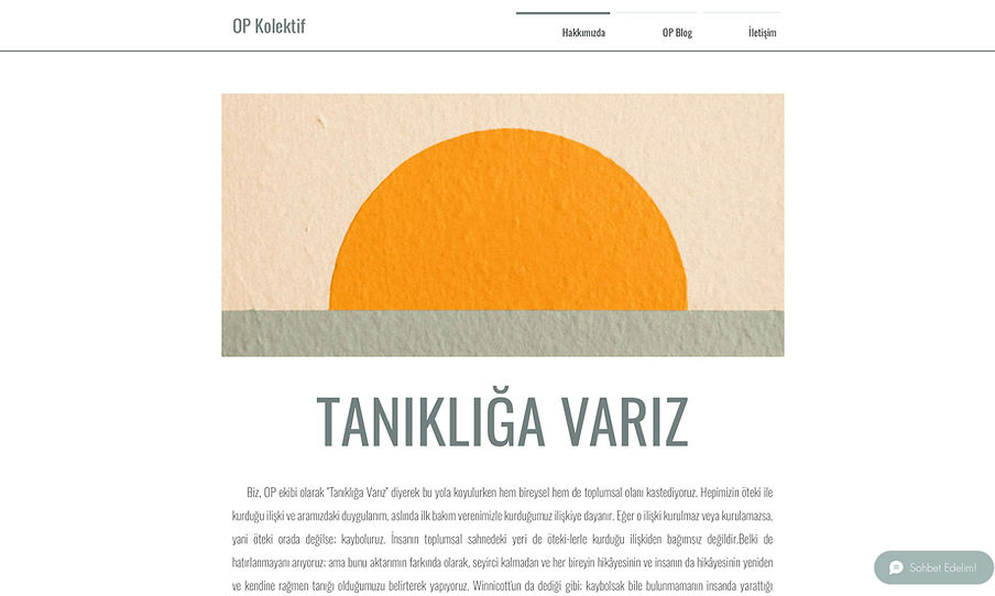 web sitesi kurulumu web tasarım profesyonel.jpg