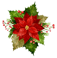 poinsettia clip.png