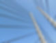 Puente