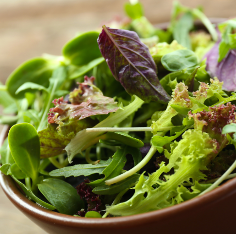 Organic Salad Mix (300g)