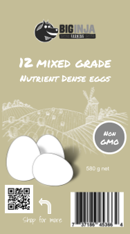 Thumbnail: Eggs - Just got Laid