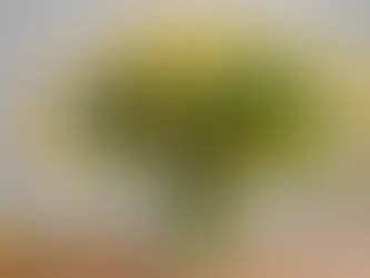 Unleash Your Creativity with Stunning Flower Arrangements for Every Spring Celebration!