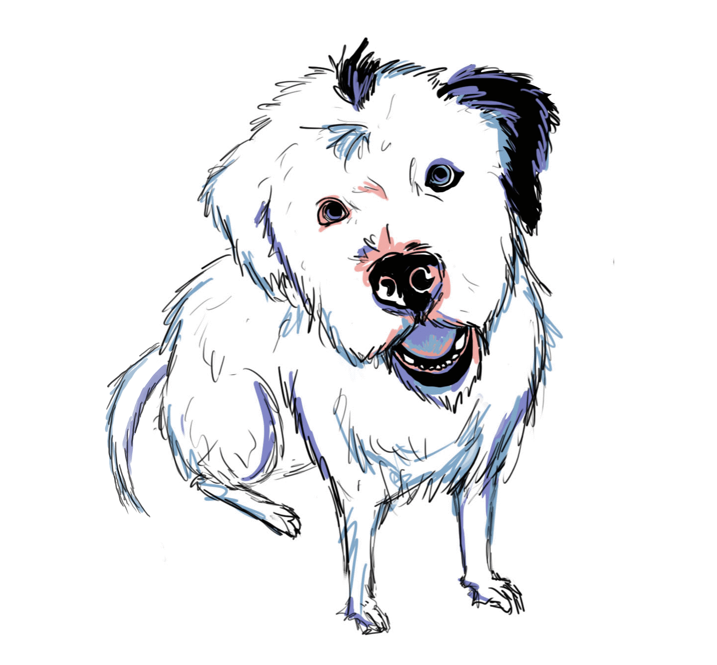 Bob the Dog Ronlee Nemeth