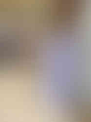 IMG_4046_edited.jpg