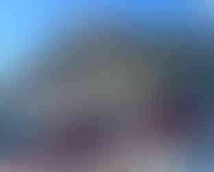 18054996029423563_edited.jpg