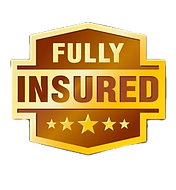 insured painter painting professional near me austin texas_edited.png