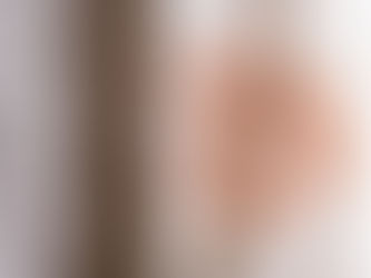 A tree with autumn leaves and foggy background