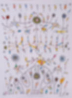 Galacticus Interligadus