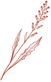 floral