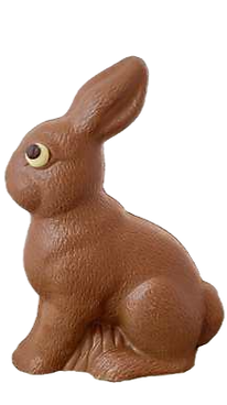 Untitled 7_edited.png