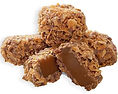 Coconut Sammies, Milk Chocolate