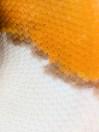 Makro Ultramel pin_edited.png