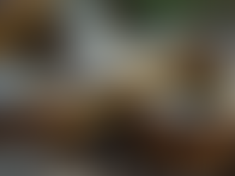 Schweizer Züchter: Piebald Morph Königspythons in Einsiedeln