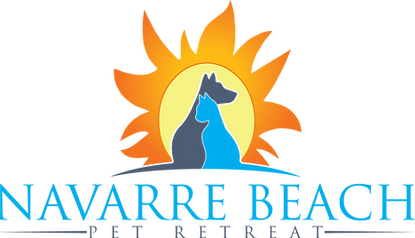 Navarre Beach Pet Resort