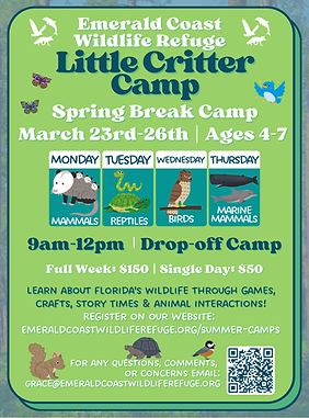 2026 Spring Break Little Critter's Flyer.png