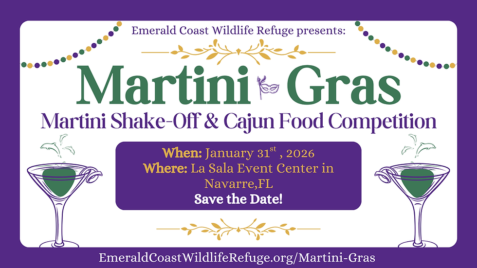 3rd Annual Martini-Gras: Martini Shake-off Competition