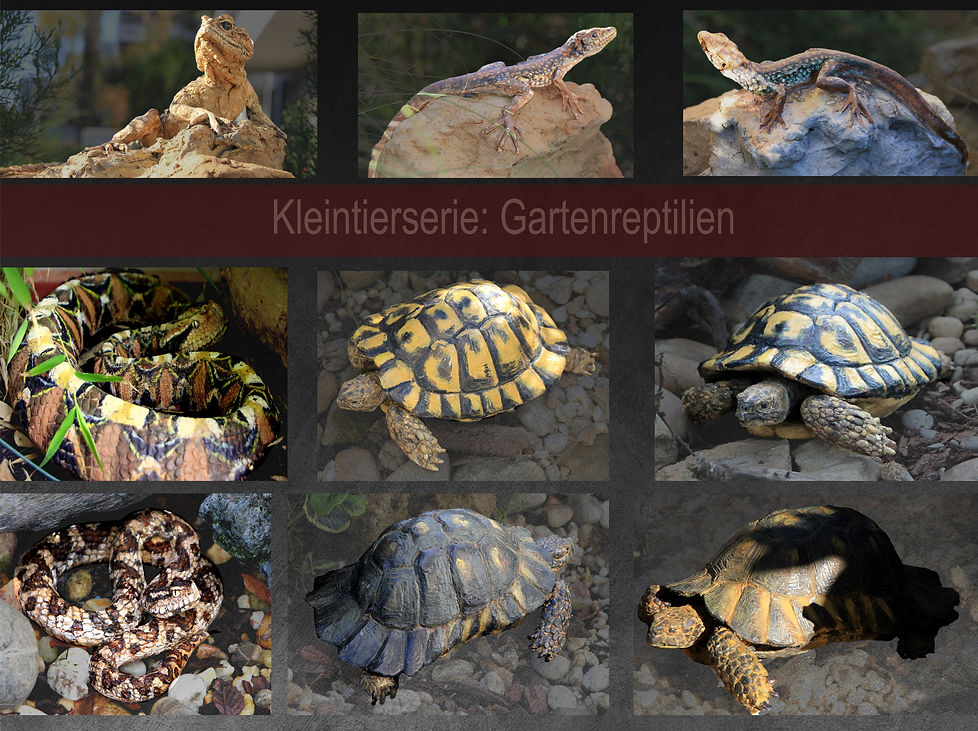 reptilien (2).jpg