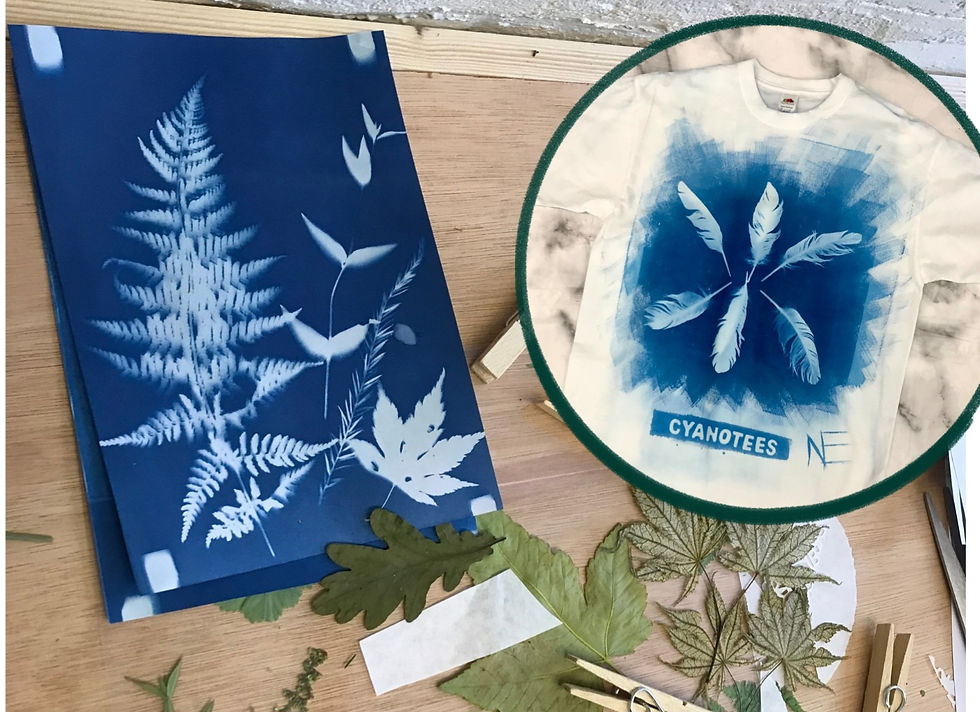 Cyanotype (Sun Printing)