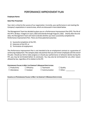 Performance Improvement Plan