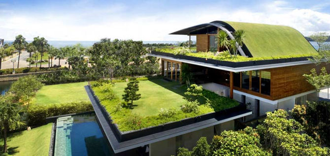 Que tal um jardim no seu telhado?
