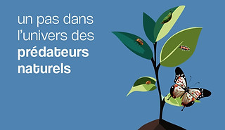 un-pas-predateurs-naturels-limoiland-conference