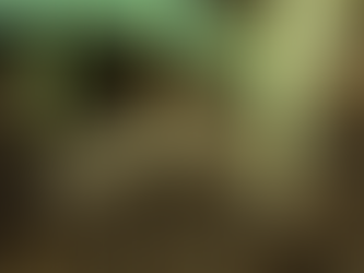 Gros plan d’une larve de tipule brunâtre sous la pelouse