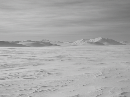 Покорение Южного полюса 1911 года: гонка, которая изменила представление о человеческих возможностях