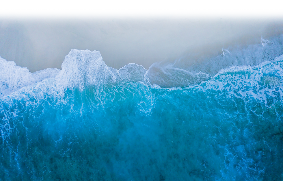 nattu-adnan-Ai2TRdvI6gM-unsplash-gradient.png