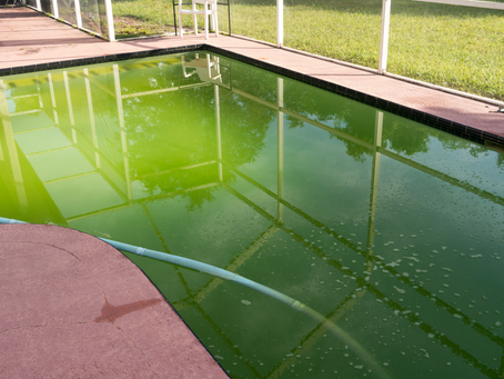 Top Pool Problems Homeowners Face in South Africa.