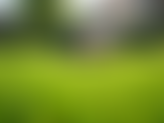 Affordable Lawn Care Tips for Every Home