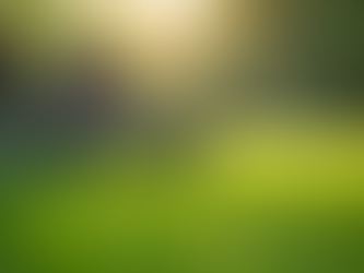 Discover Affordable Lawn Care Tips for a Greener Yard