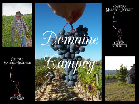 DOMAINE CAMPOY