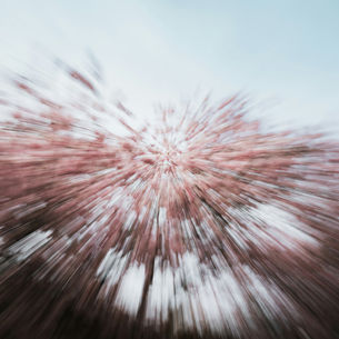 Güçlü İrade, Alışkanlıklar, Öz Disiplin