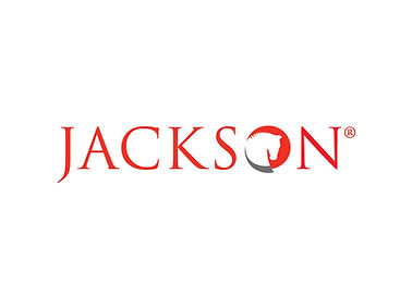 Jackson Tile.jpeg