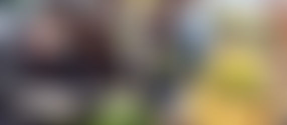 新入職員教育をレインボーファームで?