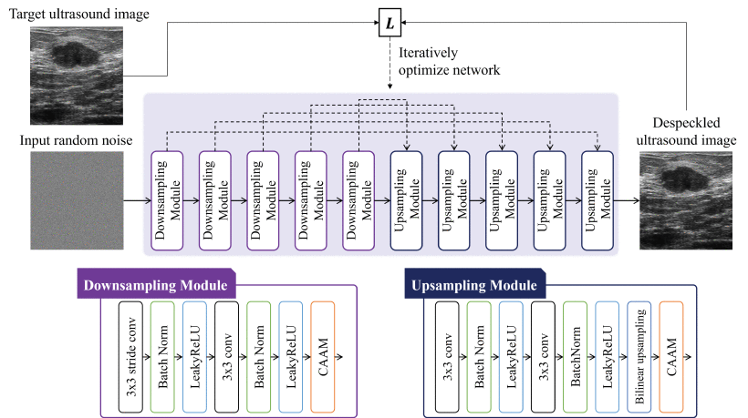 Speckle reduction in US images