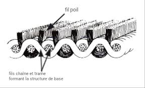 Structure du tissu velours côtelé