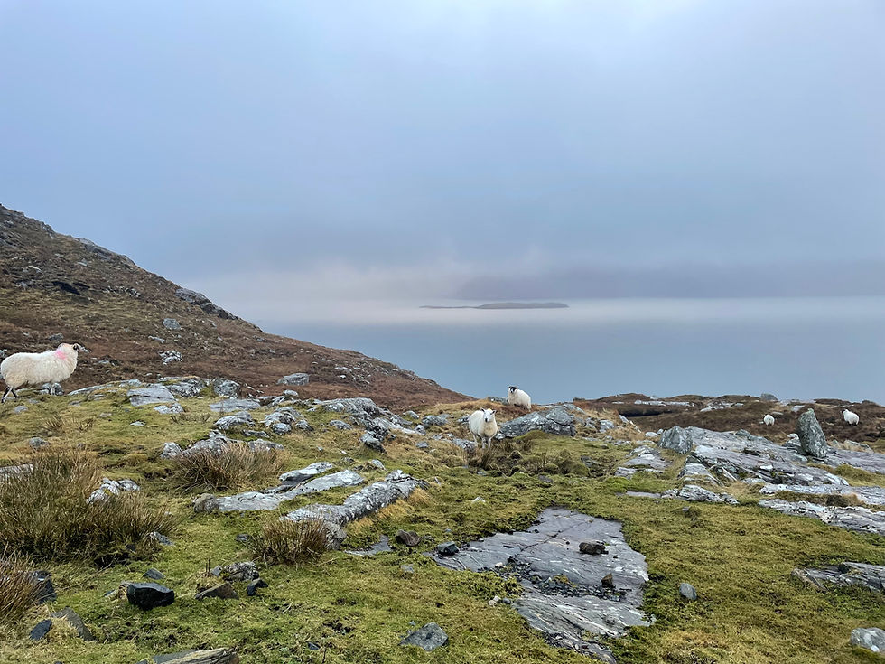 The Road to Amhuinnsuidhe