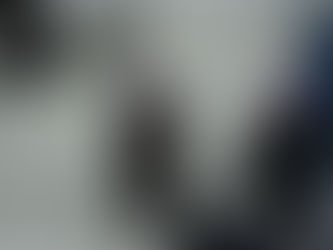 The Bernie Sanders Inauguration Day Memes Are Everything