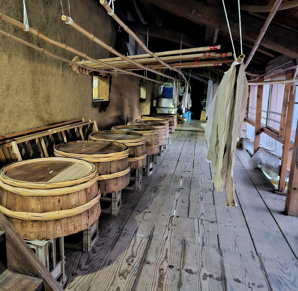 Brasserie sake kimoto