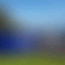 knightmovers remoavls van